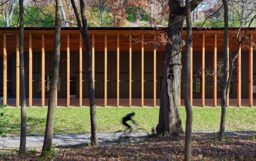 The Trailhead at Theodore Wirth Regional Park exterior trail