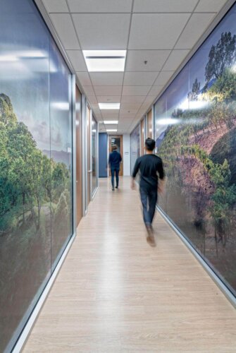 AAA Walnut Creek Headquarters Relocation interior hallway