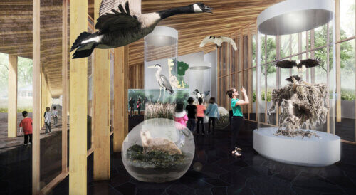 Westwood Hills Nature Center interior gathering space renderings