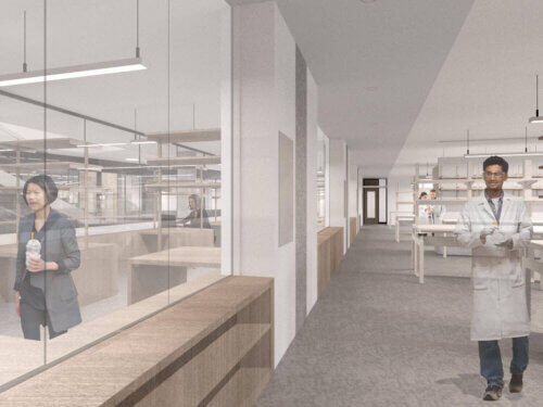 Florida State University IRCB Chevron View