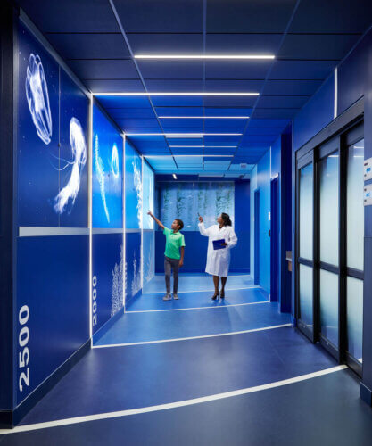 The Elsie and Marvin Dekelboum Family Foundation Molecular Imaging Center interior bioluminescence hallway 2