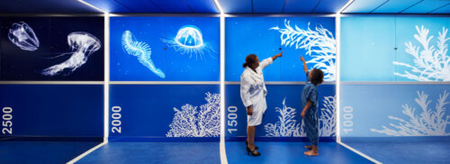 The Elsie and Marvin Dekelboum Family Foundation Molecular Imaging Center interior bioluminescence hallway 3