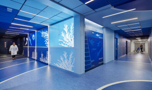The Elsie and Marvin Dekelboum Family Foundation Molecular Imaging Center interior bioluminescence hallway