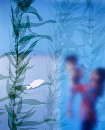 The Elsie and Marvin Dekelboum Family Foundation Molecular Imaging Center interior glass panel