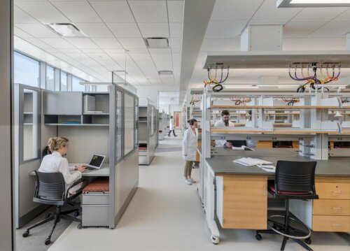 University of Massachusetts Amherst - Life Sciences Laboratories interior laboratory 2