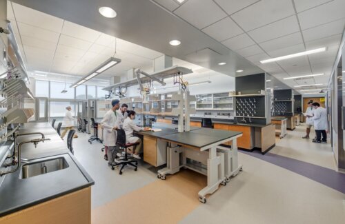 University of Massachusetts Amherst - Life Sciences Laboratories interior laboratory