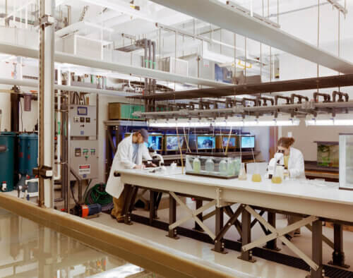 Boston University - Marine Program interior 1