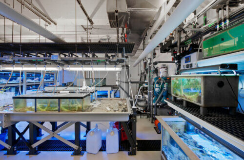 Boston University - Marine Program interior 4