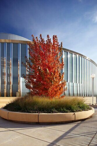 University of Minnesota, Bruininks Hall