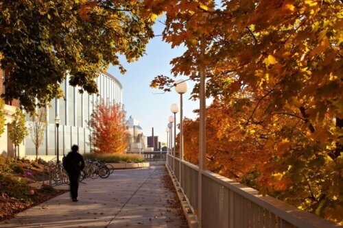 University of Minnesota, Bruininks Hall