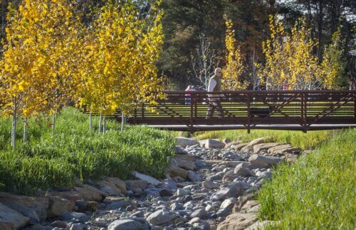 Whitetail Woods Regional Park