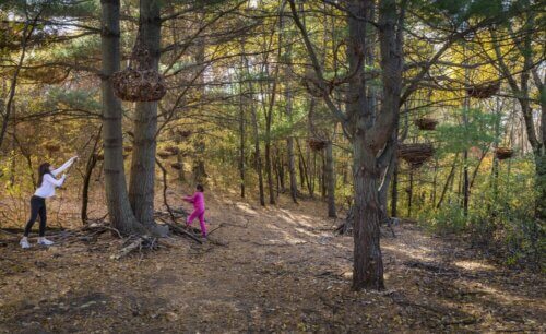 Whitetail Woods Regional Park