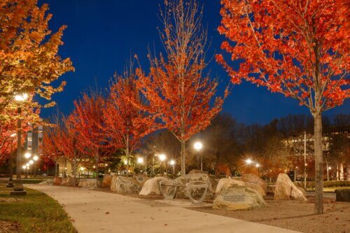 Military Family Tribute