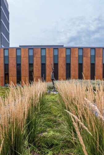 Owensboro Health Regional Hospital, Green Roof and Gardens landscape 2