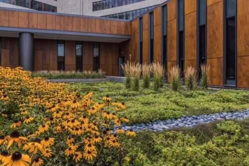 Owensboro Health Regional Hospital, Green Roof and Gardens landscape 3
