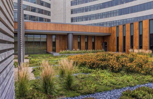 Owensboro Health Regional Hospital, Green Roof and Gardens landscape 4