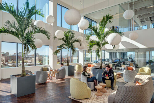 Education First North America Headquarters interior palm tree sitting area
