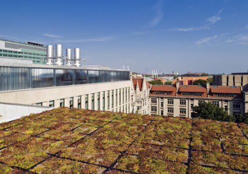 Searle Chemistry Laboratory exterior roof