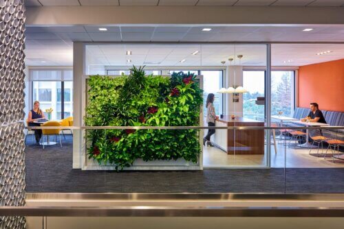 Kaye-Scholer-Law-Offices