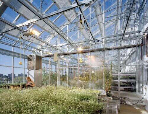 Vanderbilt University - BiosciencesMedical Research Building rooftop garden