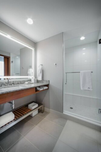 Hilton Rochester Mayo Clinic Area interior bathroom