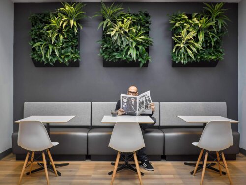 Criteo cafe area with plants