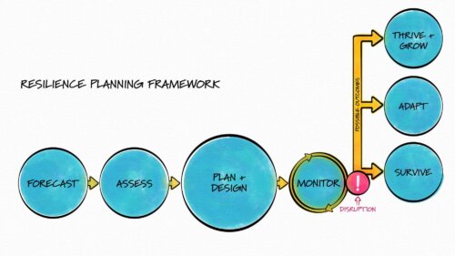 Resilience Planning Framework
