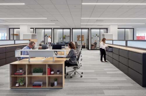 Fortunate 500 Financial Services Organization interiors (11)