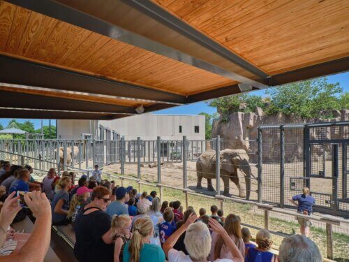 Milwaukee County Zoo, African Elephant Exhibit (4)