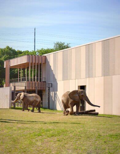 Milwaukee County Zoo, African Elephant Exhibit (5)