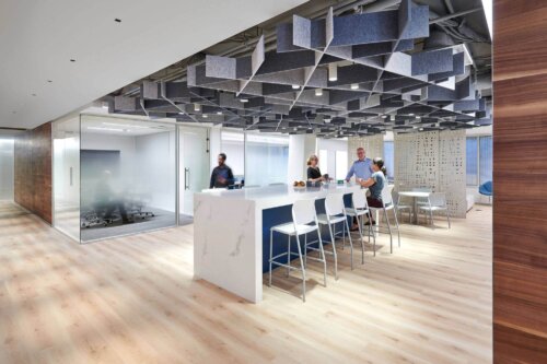 American Psychological Association (APA) (1)