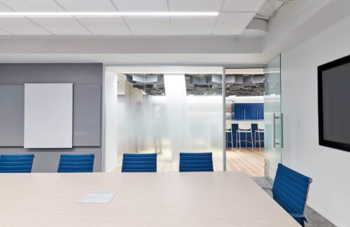 American Psychological Association (APA) (10)