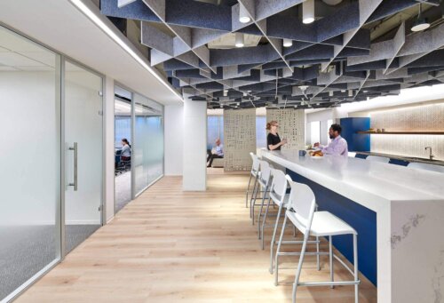 American Psychological Association (APA) (3)