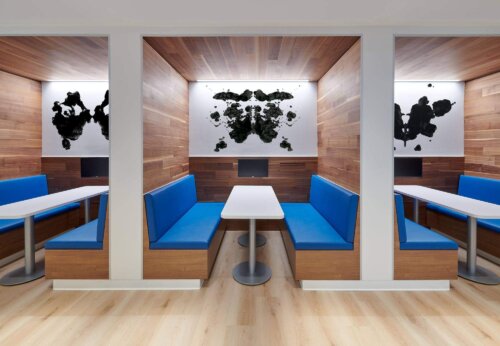 American Psychological Association (APA) (6)