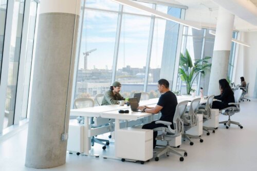 Dropbox interior (6)