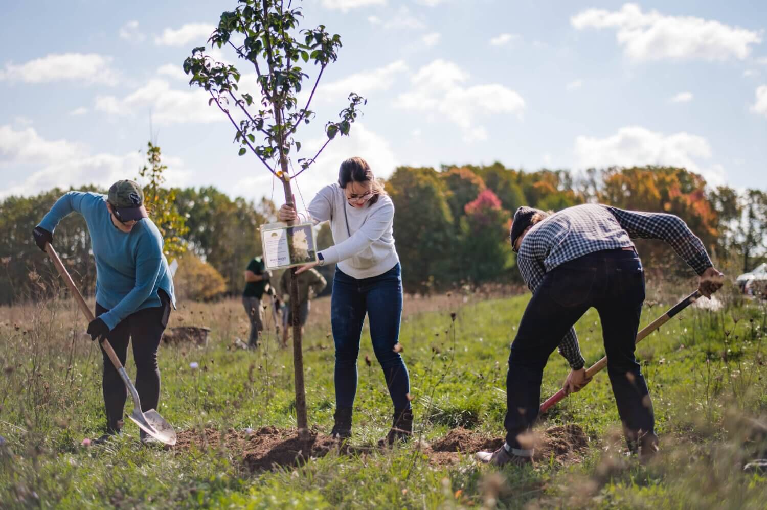 HGA Employees planting trees