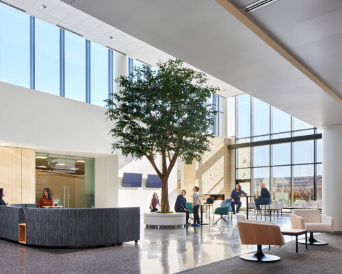 Bellin Health Surgery & Specialty Center lobby with large windows and a tree