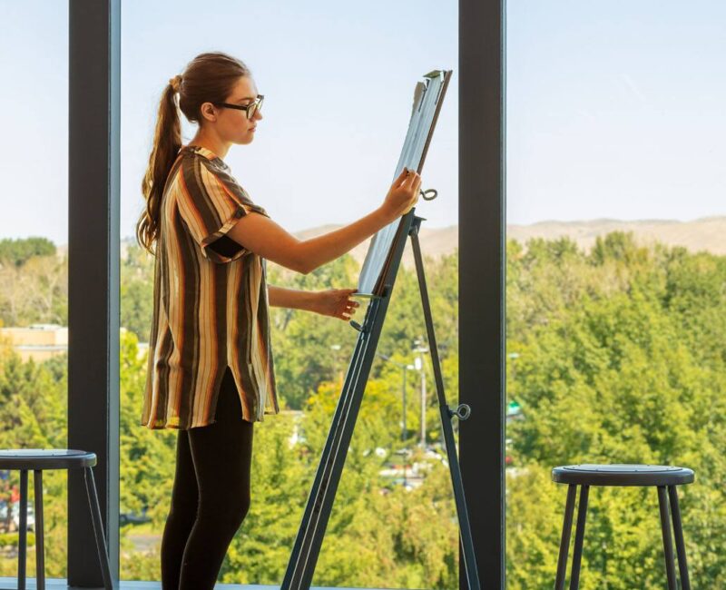 demo image for Boise State University