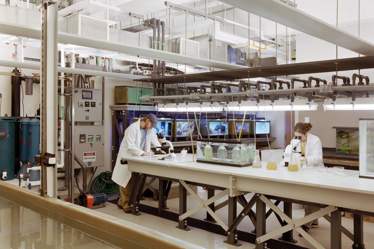 Boston University – Marine Program