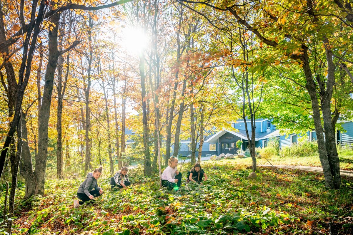 Wolf Ridge Environmental Learning Center