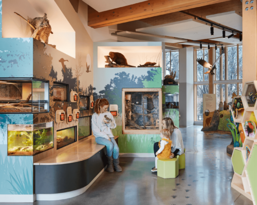 Westwood Hills Nature Center Interior Exhibit showcasing animals