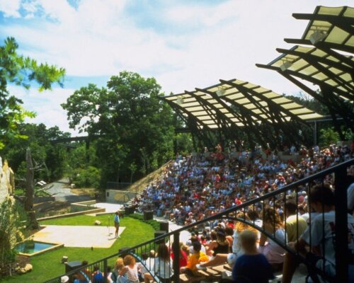Minnesota Zoological Gardens - Weesner Family Amphitheater